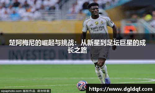 yy体育